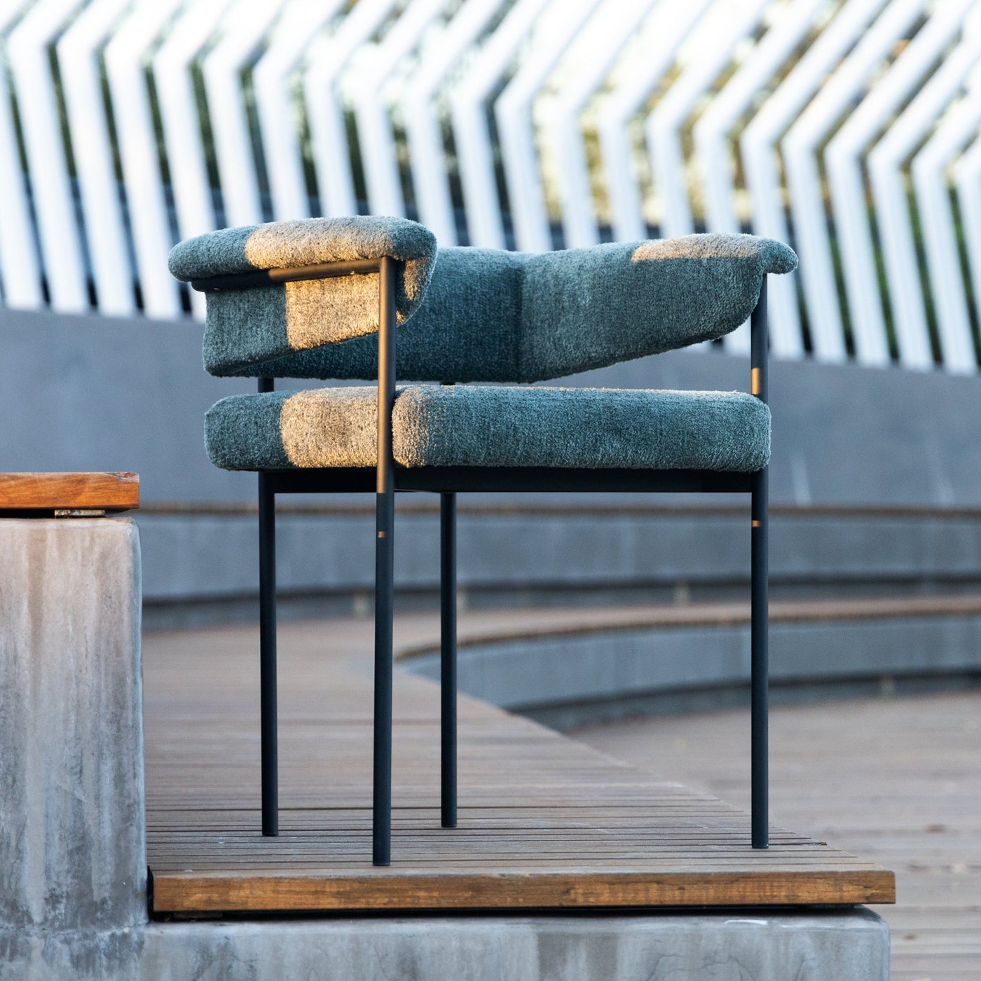 Esotico Dining Chair - Tom Collins Home