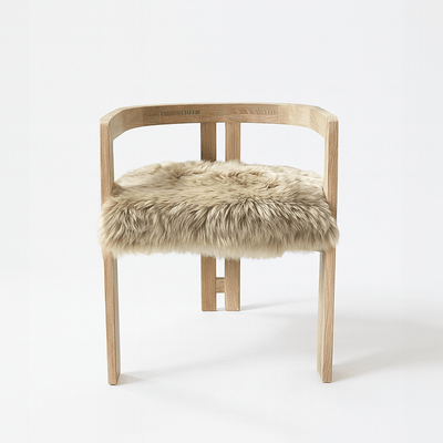 Paloma Dining Chair - Tom Collins Home
